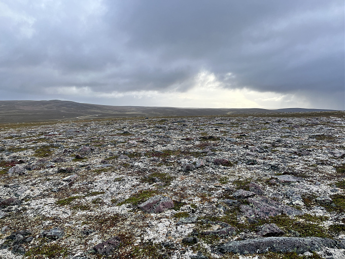 Klicke auf die Grafik für eine vergrößerte Ansicht  Name: 20230-09 Varanger - 003032.jpg Ansichten: 0 Größe: 5,12 MB ID: 3256642