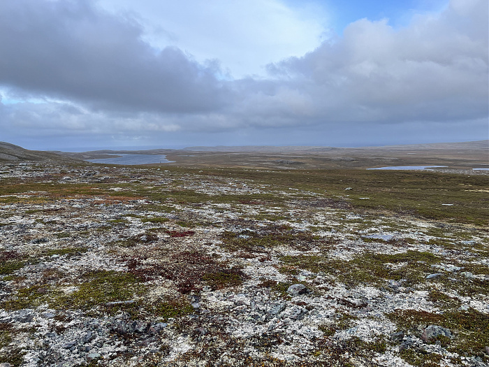 Klicke auf die Grafik für eine vergrößerte Ansicht  Name: 20230-09 Varanger - 003029.jpg Ansichten: 0 Größe: 5,08 MB ID: 3256645