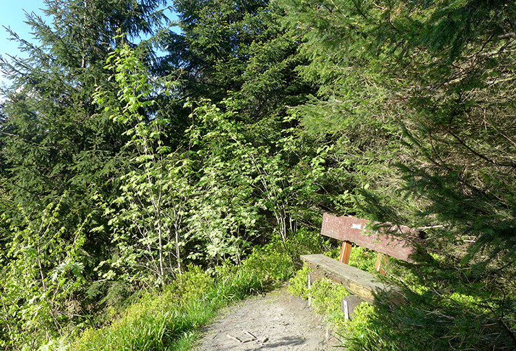 Klicke auf die Grafik für eine vergrößerte Ansicht

Name: Weserberglandweg_155.jpg
Ansichten: 890
Größe: 338,8 KB
ID: 3256731