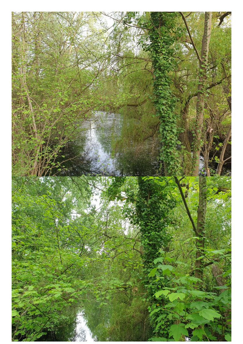 Klicke auf die Grafik für eine vergrößerte Ansicht

Name: April_Mai_9.jpg
Ansichten: 183
Größe: 510,9 KB
ID: 3258056