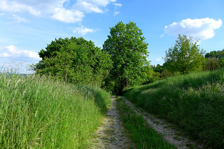 Klicke auf die Grafik für eine vergrößerte Ansicht

Name: Weserberglandweg_210.jpg
Ansichten: 271
Größe: 230,2 KB
ID: 3258261