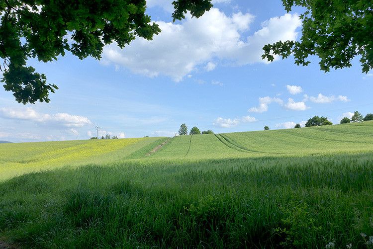 Klicke auf die Grafik für eine vergrößerte Ansicht

Name: Weserberglandweg_216_1.jpg
Ansichten: 374
Größe: 180,3 KB
ID: 3258256