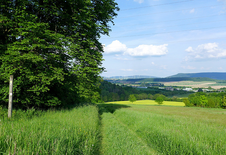 Klicke auf die Grafik für eine vergrößerte Ansicht

Name: Weserberglandweg_207_1.jpg
Ansichten: 453
Größe: 250,7 KB
ID: 3258257