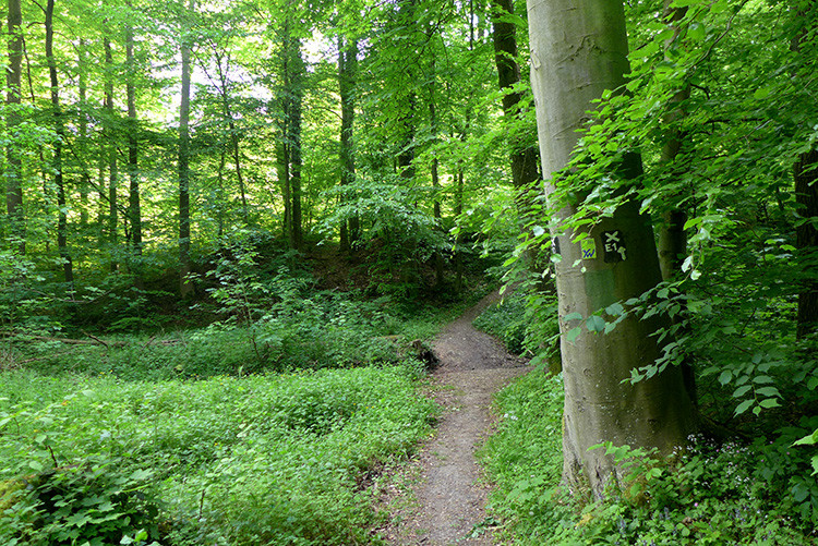 Klicke auf die Grafik für eine vergrößerte Ansicht

Name: Weserberglandweg_198_1.jpg
Ansichten: 456
Größe: 330,9 KB
ID: 3258260