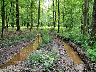 Klicke auf die Grafik für eine vergrößerte Ansicht

Name: IMG_20240515_130500_DRO~01.jpg
Ansichten: 152
Größe: 327,9 KB
ID: 3259124
