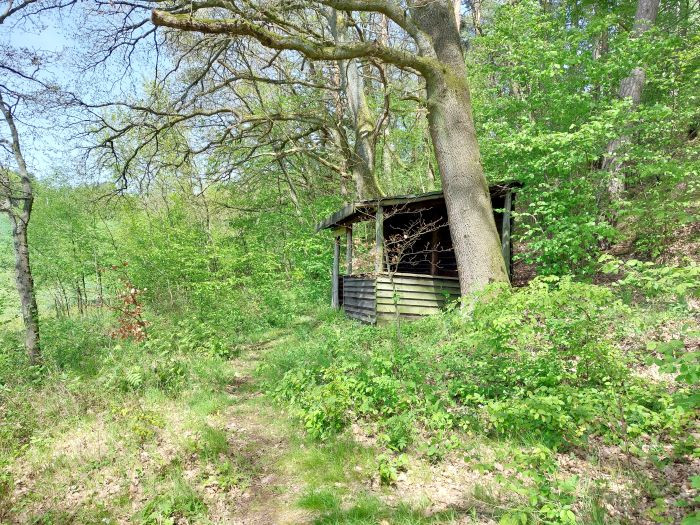 Klicke auf die Grafik für eine vergrößerte Ansicht

Name: 20240430_130201a.jpg
Ansichten: 106
Größe: 245,2 KB
ID: 3260040