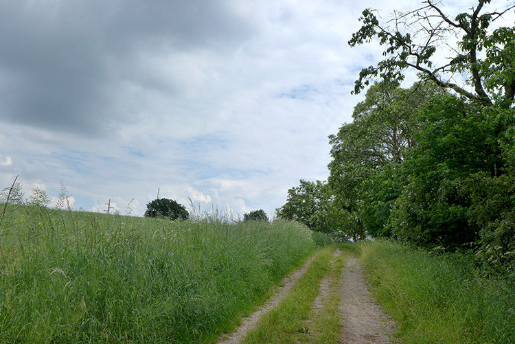 Klicke auf die Grafik für eine vergrößerte Ansicht  Name: Weserberglandweg_301_OEH.jpg Ansichten: 0 Größe: 170,0 KB ID: 3260195