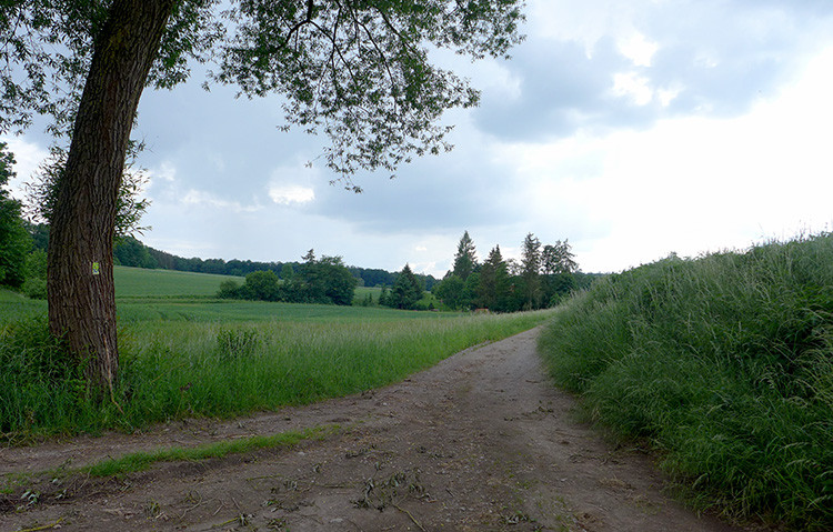 Klicke auf die Grafik für eine vergrößerte Ansicht

Name: Weserberglandweg_305_OEH.jpg
Ansichten: 235
Größe: 167,6 KB
ID: 3260196