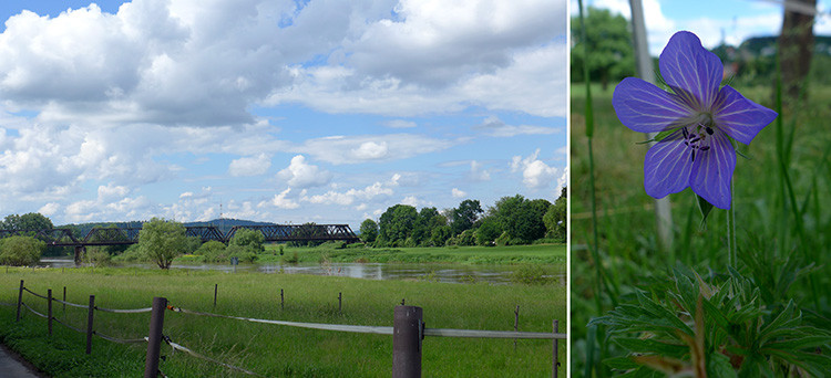Klicke auf die Grafik für eine vergrößerte Ansicht

Name: Weserberglandweg_340_OEH.jpg
Ansichten: 186
Größe: 96,9 KB
ID: 3260852
