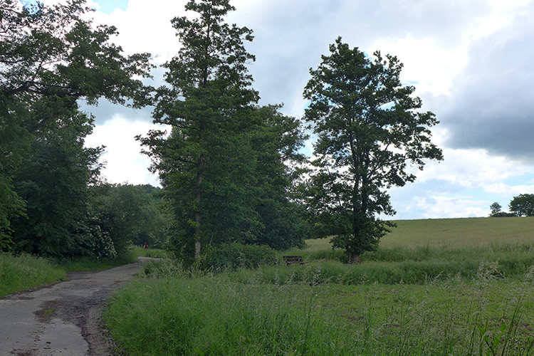 Klicke auf die Grafik für eine vergrößerte Ansicht

Name: Weserberglandweg_342_OEH.jpg
Ansichten: 182
Größe: 183,8 KB
ID: 3260856