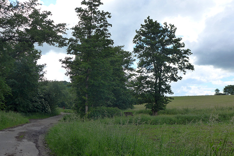 Klicke auf die Grafik für eine vergrößerte Ansicht

Name: Weserberglandweg_342_OEH.jpg
Ansichten: 0
Größe: 183,8 KB
ID: 3260856