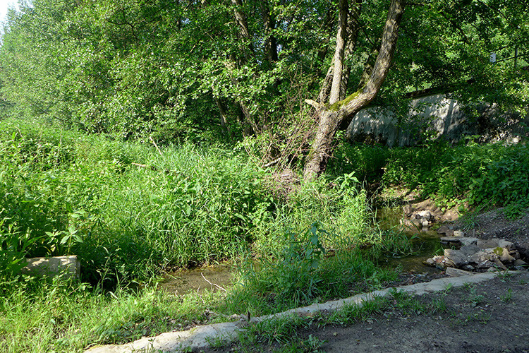 Klicke auf die Grafik für eine vergrößerte Ansicht  Name: Weserberglandweg_355.jpg Ansichten: 0 Größe: 353,4 KB ID: 3261746