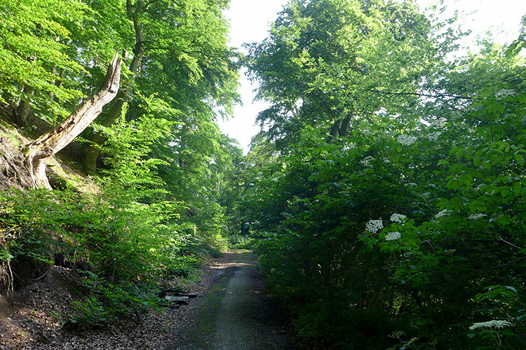 Klicke auf die Grafik für eine vergrößerte Ansicht  Name: Weserberglandweg_358.jpg Ansichten: 0 Größe: 297,9 KB ID: 3261747