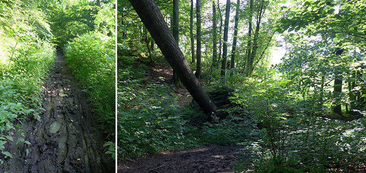 Klicke auf die Grafik für eine vergrößerte Ansicht  Name: Weserberglandweg_361.jpg Ansichten: 0 Größe: 226,7 KB ID: 3261750