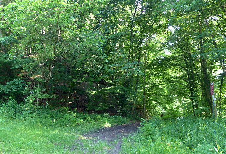 Klicke auf die Grafik für eine vergrößerte Ansicht  Name: Weserberglandweg_360.jpg Ansichten: 0 Größe: 339,6 KB ID: 3261751