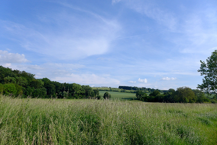 Klicke auf die Grafik für eine vergrößerte Ansicht  Name: Weserberglandweg_364.jpg Ansichten: 0 Größe: 156,9 KB ID: 3261752