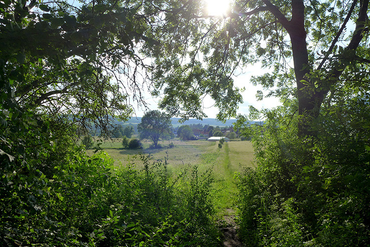 Klicke auf die Grafik für eine vergrößerte Ansicht  Name: Weserberglandweg_363.jpg Ansichten: 0 Größe: 289,7 KB ID: 3261754