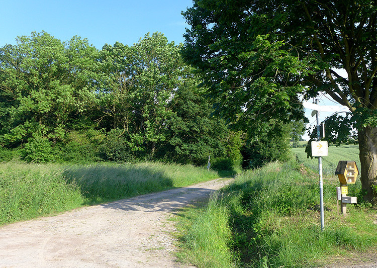 Klicke auf die Grafik für eine vergrößerte Ansicht  Name: Weserberglandweg_367.jpg Ansichten: 0 Größe: 297,8 KB ID: 3261759