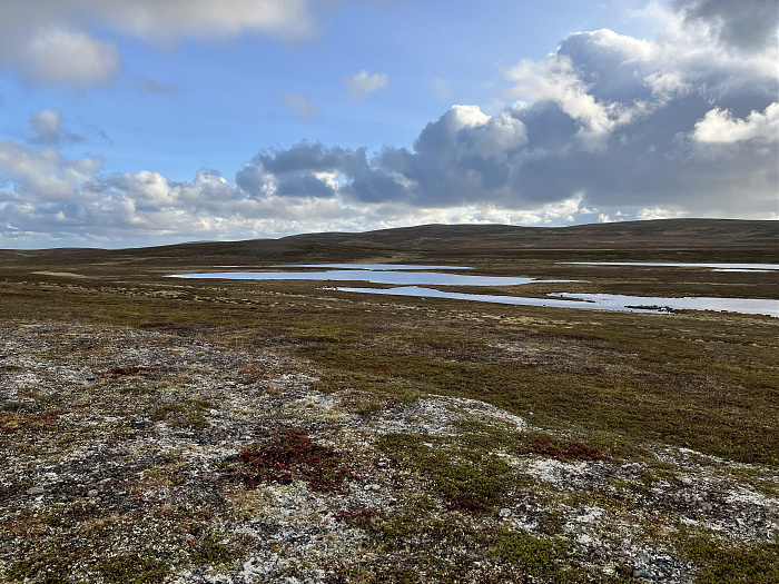 Klicke auf die Grafik für eine vergrößerte Ansicht  Name: 20230-09 Varanger - 003055.jpg Ansichten: 0 Größe: 4,98 MB ID: 3262188