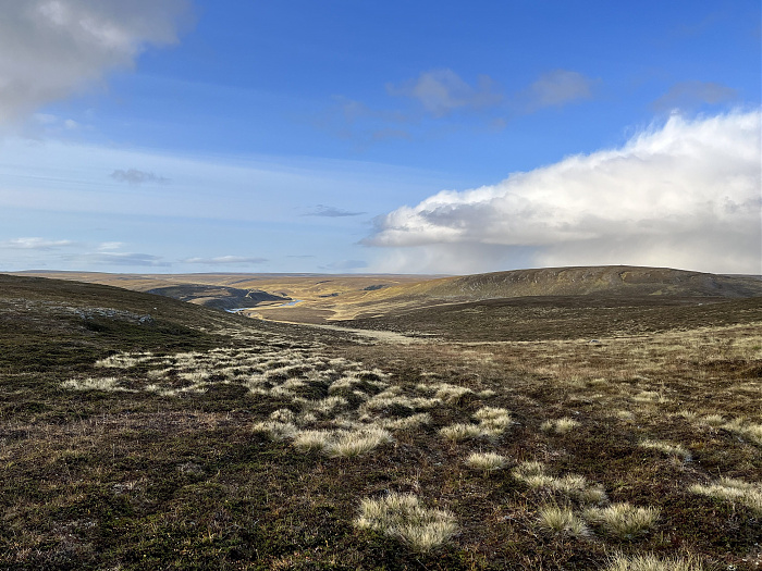 Klicke auf die Grafik für eine vergrößerte Ansicht  Name: 20230-09 Varanger - 003054.jpg Ansichten: 0 Größe: 2,08 MB ID: 3262189