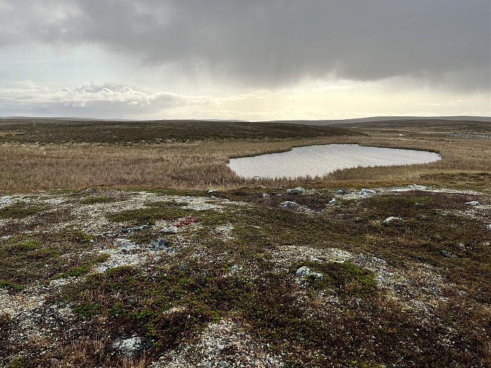 Klicke auf die Grafik für eine vergrößerte Ansicht  Name: 20230-09 Varanger - 003104.jpg Ansichten: 0 Größe: 5,32 MB ID: 3262201