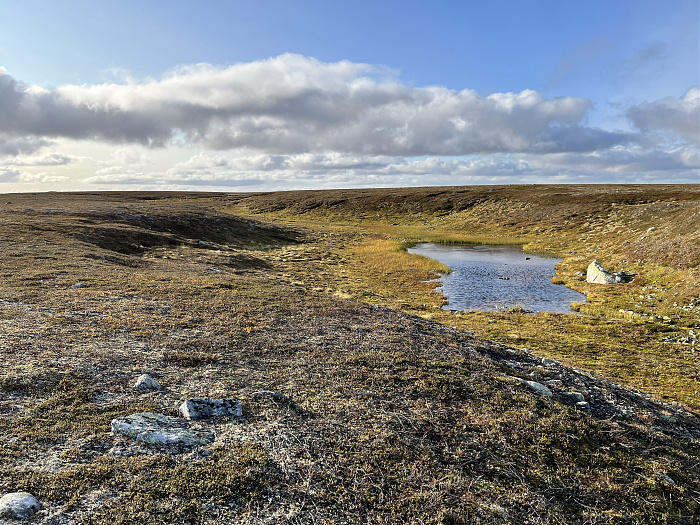 Klicke auf die Grafik für eine vergrößerte Ansicht  Name: 20230-09 Varanger - 003127.jpg Ansichten: 0 Größe: 6,02 MB ID: 3262204