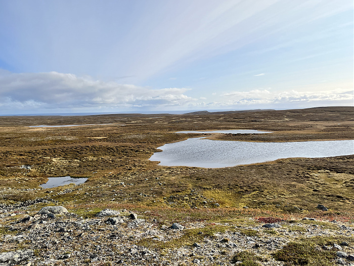 Klicke auf die Grafik für eine vergrößerte Ansicht  Name: 20230-09 Varanger - 003119.jpg Ansichten: 0 Größe: 4,97 MB ID: 3262205