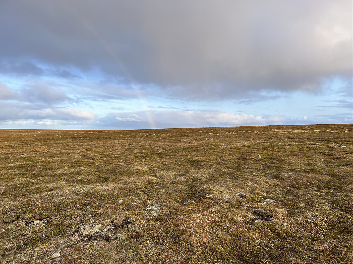 Klicke auf die Grafik für eine vergrößerte Ansicht  Name: 20230-09 Varanger - 003158.jpg Ansichten: 0 Größe: 5,26 MB ID: 3262207