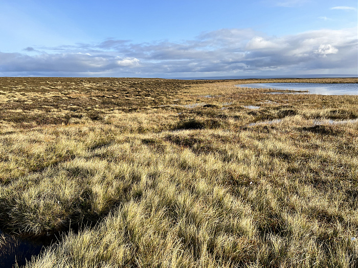 Klicke auf die Grafik für eine vergrößerte Ansicht  Name: 20230-09 Varanger - 003136.jpg Ansichten: 0 Größe: 7,02 MB ID: 3262208