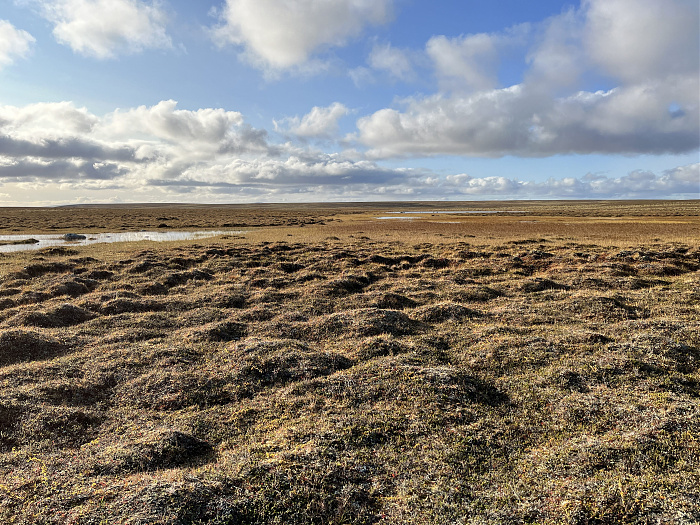 Klicke auf die Grafik für eine vergrößerte Ansicht  Name: 20230-09 Varanger - 003137.jpg Ansichten: 0 Größe: 6,02 MB ID: 3262209