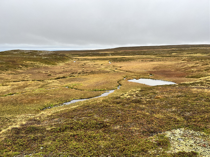 Klicke auf die Grafik für eine vergrößerte Ansicht  Name: 20230-09 Varanger - 003188.jpg Ansichten: 0 Größe: 5,92 MB ID: 3262279