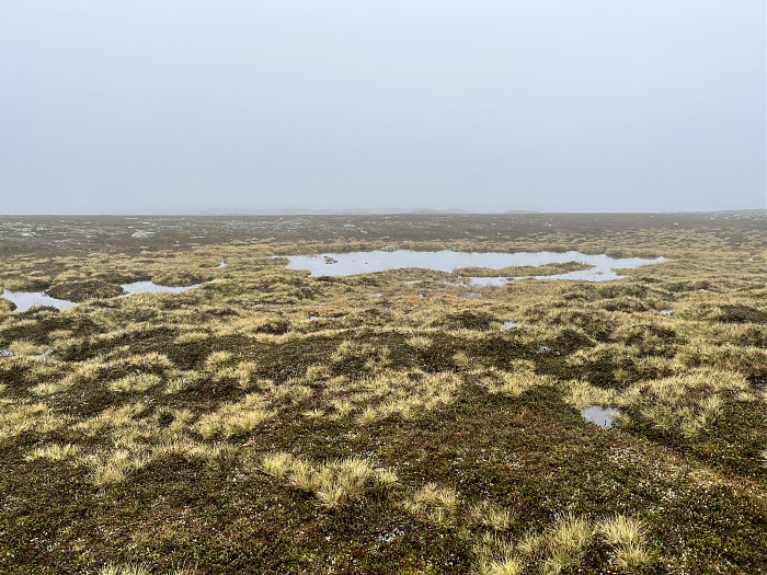 Klicke auf die Grafik für eine vergrößerte Ansicht  Name: 20230-09 Varanger - 003170.jpg Ansichten: 0 Größe: 5,10 MB ID: 3262280