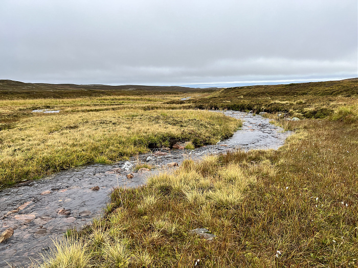 Klicke auf die Grafik für eine vergrößerte Ansicht  Name: 20230-09 Varanger - 003192.jpg Ansichten: 0 Größe: 5,80 MB ID: 3262285