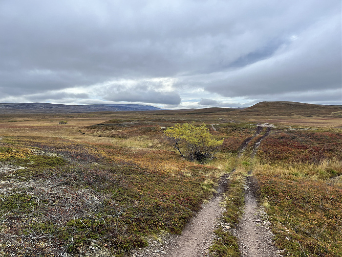 Klicke auf die Grafik für eine vergrößerte Ansicht  Name: 20230-09 Varanger - 003222.jpg Ansichten: 0 Größe: 5,08 MB ID: 3262287