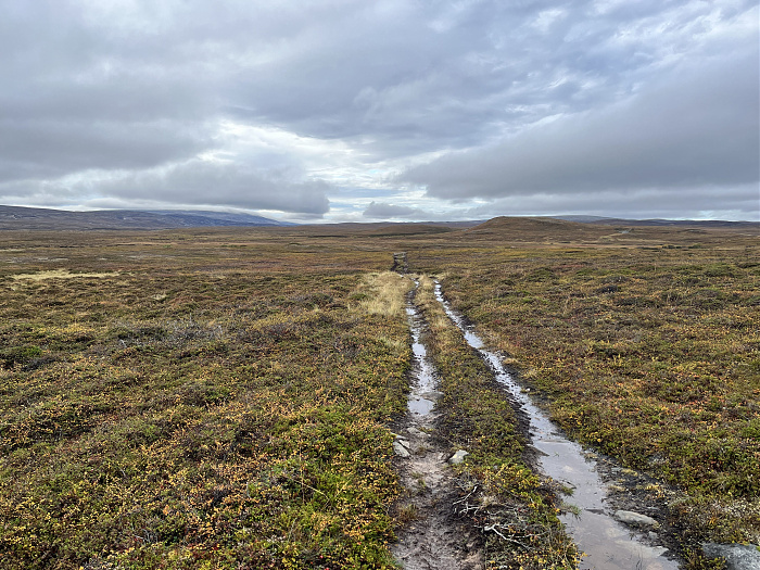 Klicke auf die Grafik für eine vergrößerte Ansicht  Name: 20230-09 Varanger - 003220.jpg Ansichten: 0 Größe: 5,42 MB ID: 3262289