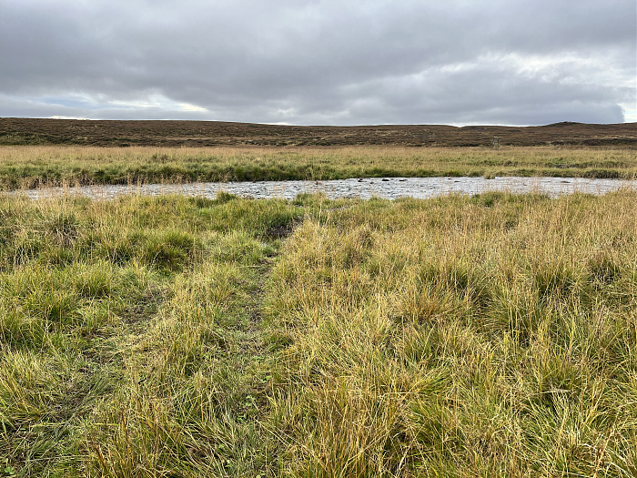 Klicke auf die Grafik für eine vergrößerte Ansicht  Name: 20230-09 Varanger - 003216.jpg Ansichten: 0 Größe: 6,68 MB ID: 3262290