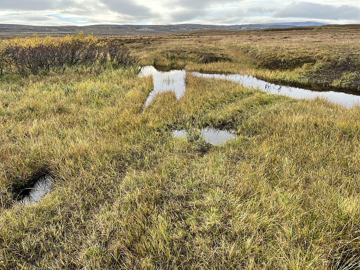 Klicke auf die Grafik für eine vergrößerte Ansicht  Name: 20230-09 Varanger - 003224.jpg Ansichten: 0 Größe: 8,17 MB ID: 3262291