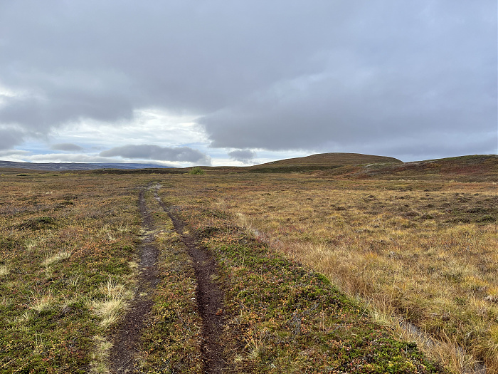 Klicke auf die Grafik für eine vergrößerte Ansicht  Name: 20230-09 Varanger - 003226.jpg Ansichten: 0 Größe: 4,91 MB ID: 3262292