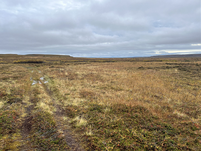 Klicke auf die Grafik für eine vergrößerte Ansicht  Name: 20230-09 Varanger - 003225.jpg Ansichten: 0 Größe: 5,42 MB ID: 3262293