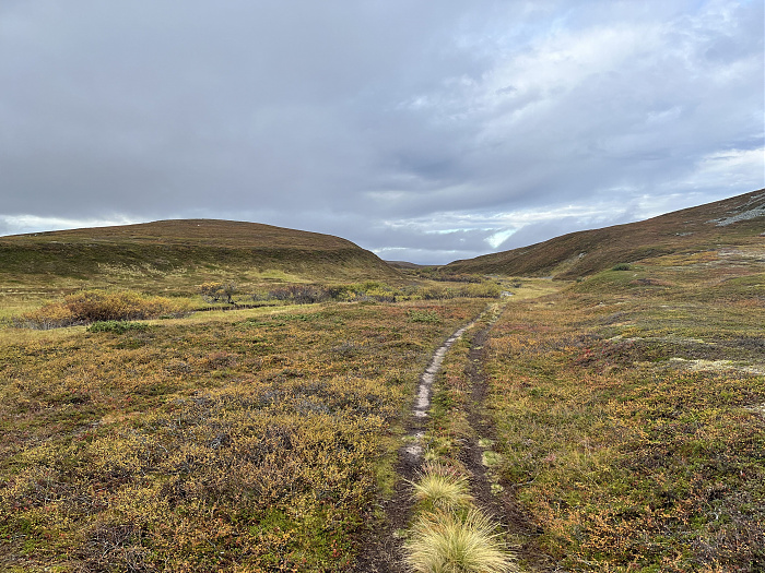 Klicke auf die Grafik für eine vergrößerte Ansicht  Name: 20230-09 Varanger - 003227.jpg Ansichten: 0 Größe: 5,29 MB ID: 3262295