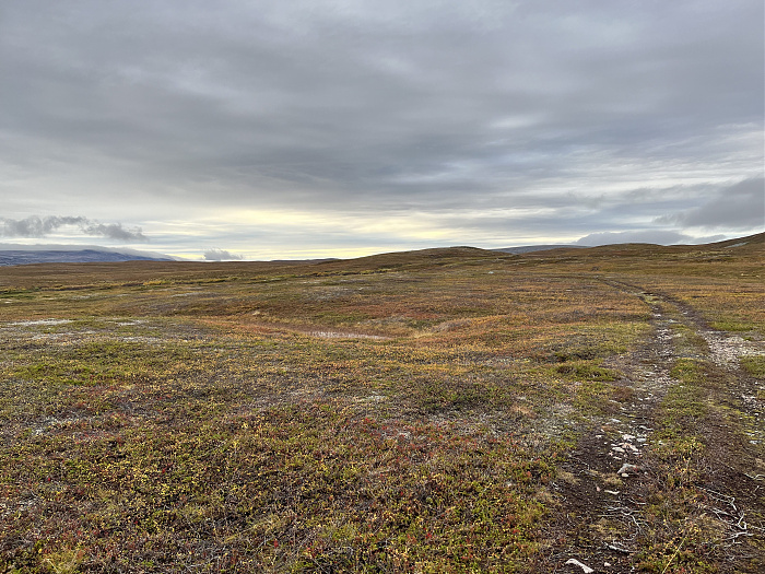 Klicke auf die Grafik für eine vergrößerte Ansicht  Name: 20230-09 Varanger - 003232.jpg Ansichten: 0 Größe: 5,27 MB ID: 3262297