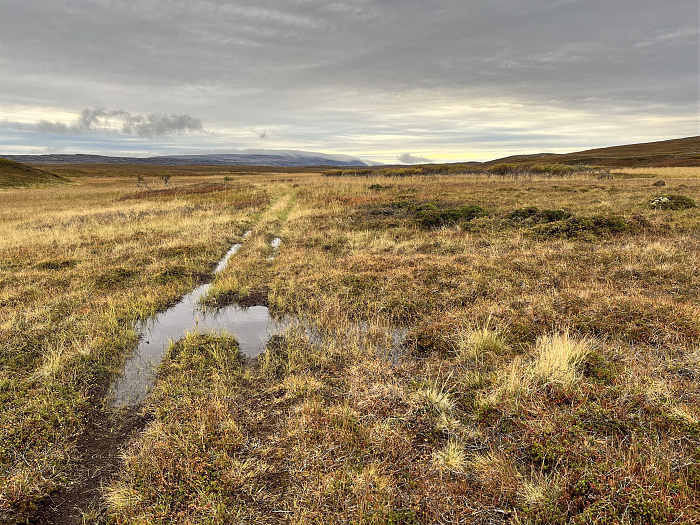 Klicke auf die Grafik für eine vergrößerte Ansicht  Name: 20230-09 Varanger - 003234.jpg Ansichten: 0 Größe: 6,49 MB ID: 3262299