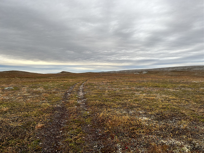 Klicke auf die Grafik für eine vergrößerte Ansicht  Name: 20230-09 Varanger - 003240.jpg Ansichten: 0 Größe: 5,04 MB ID: 3262300