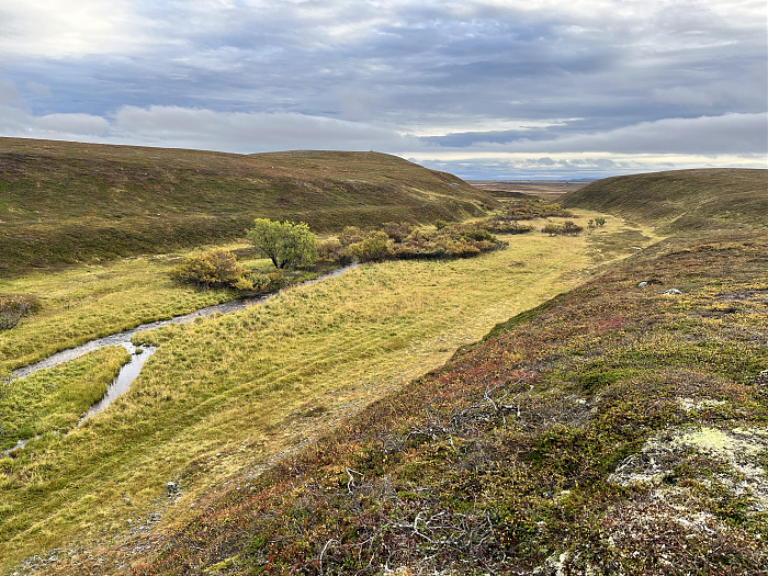 Klicke auf die Grafik für eine vergrößerte Ansicht  Name: 20230-09 Varanger - 003230.jpg Ansichten: 0 Größe: 5,98 MB ID: 3262301