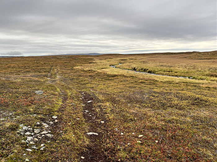 Klicke auf die Grafik für eine vergrößerte Ansicht  Name: 20230-09 Varanger - 003238.jpg Ansichten: 0 Größe: 6,34 MB ID: 3262302
