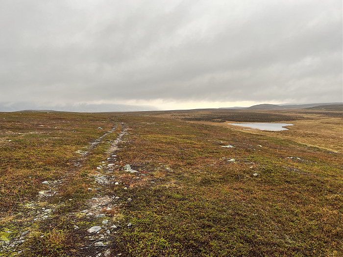 Klicke auf die Grafik für eine vergrößerte Ansicht  Name: 20230-09 Varanger - 003262.jpg Ansichten: 0 Größe: 5,03 MB ID: 3262490