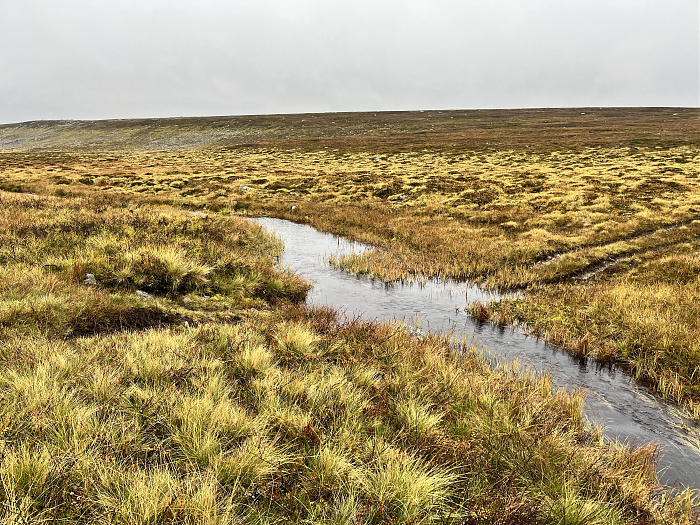 Klicke auf die Grafik für eine vergrößerte Ansicht  Name: 20230-09 Varanger - 003257.jpg Ansichten: 0 Größe: 6,99 MB ID: 3262493