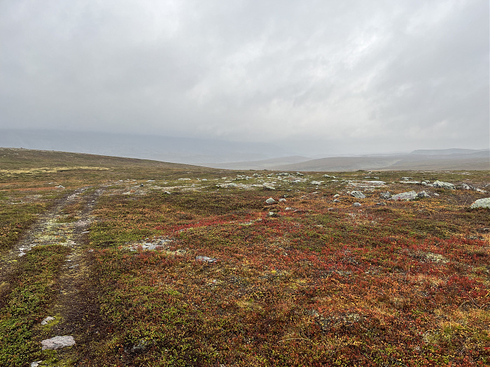 Klicke auf die Grafik für eine vergrößerte Ansicht  Name: 20230-09 Varanger - 003267.jpg Ansichten: 0 Größe: 5,12 MB ID: 3262494
