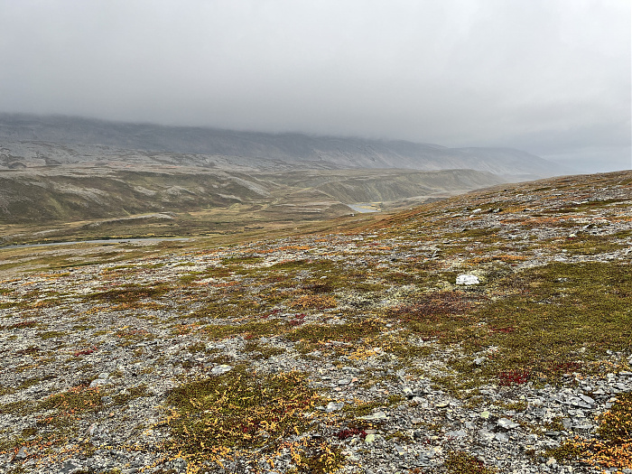 Klicke auf die Grafik für eine vergrößerte Ansicht  Name: 20230-09 Varanger - 003280.jpg Ansichten: 0 Größe: 6,11 MB ID: 3262496
