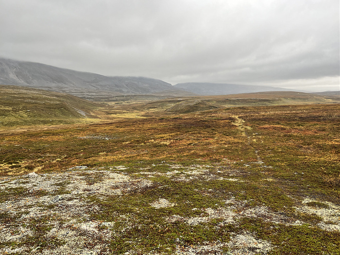 Klicke auf die Grafik für eine vergrößerte Ansicht  Name: 20230-09 Varanger - 003311.jpg Ansichten: 0 Größe: 5,64 MB ID: 3262505